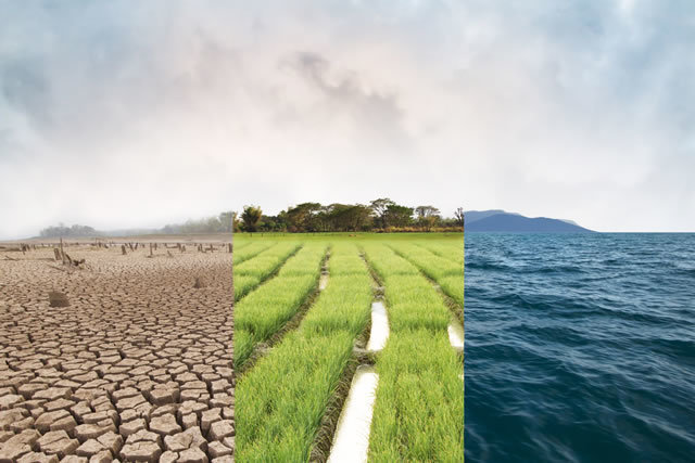 危機的状況が迫る気候変動と対策 SDGs~目標13.気候変動に具体的な対策を~