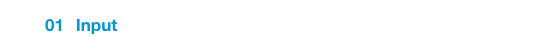 Input